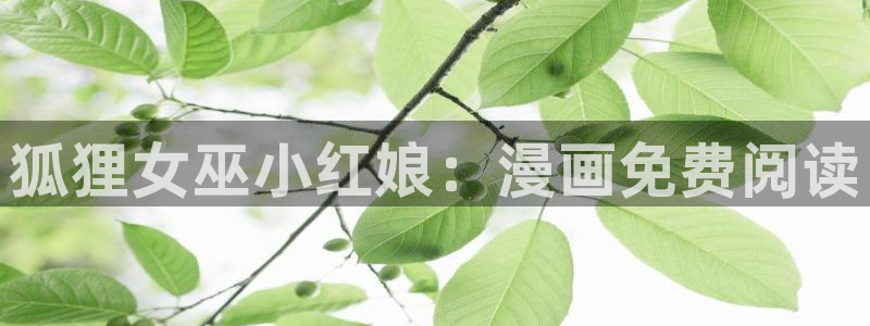 h51漫画在线观看：狐狸女巫小红娘：漫画免费阅读