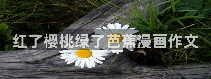 日51漫画画免费读漫画：红了樱桃绿了芭蕉漫画作文