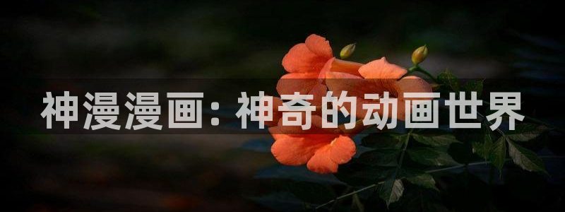 未删减51漫画大全免费网站：神漫漫画: 神奇的动画世界
