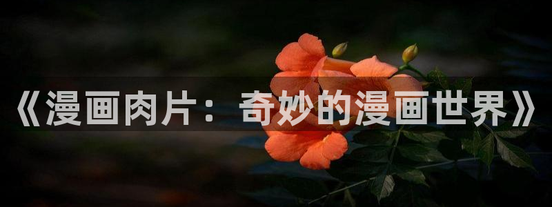 免费看日漫51漫画网站：《漫画肉片：奇妙的漫画世界》