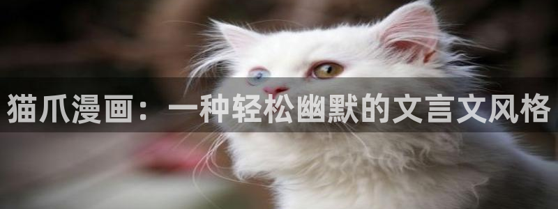 看免费51漫画的网址