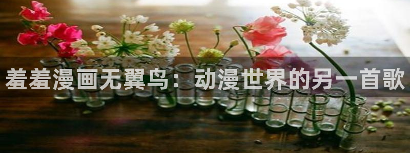 51漫画足控亲亲漫画：羞羞漫画无翼鸟：动漫世界的另一首歌