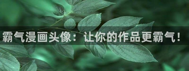 云龙风虎51漫画免费观看：霸气漫画头像：让你的作品更霸气！