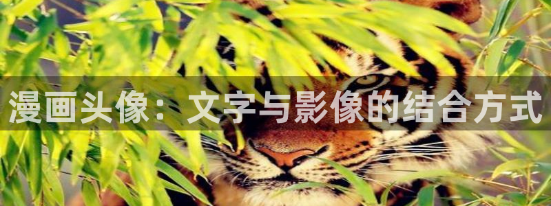 51漫画日漫免费在线网站：漫画头像：文字与影像的结合方式