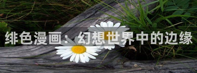 51漫画在线观看土豪漫画网