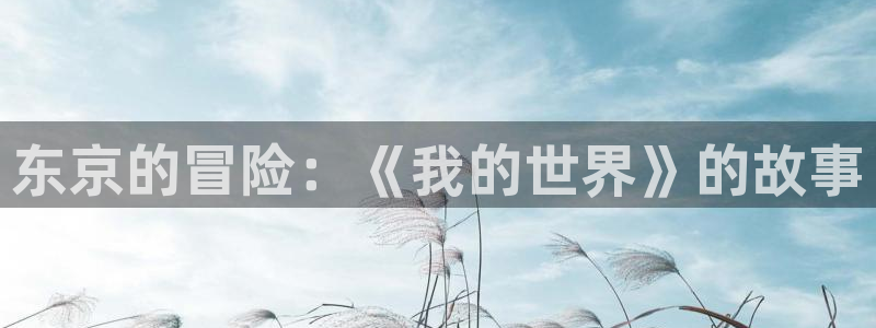 51漫画双男主漫画app：东京的冒险：《我的世界》的故事