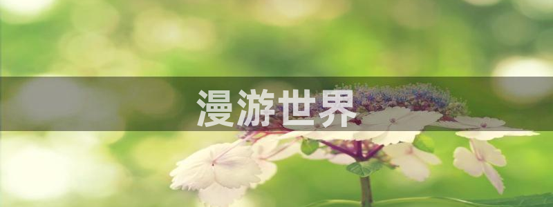 51漫画漫画bl：漫游世界