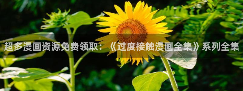 51漫画漫画漫画大全：超多漫画资源免费领取：《过度接触漫画全集》系列全集